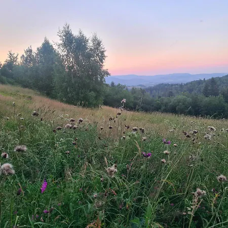 W Gorach Gorce Pieniny Апартаменты Tylmanowa